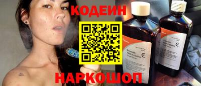 apvp Камышлов
