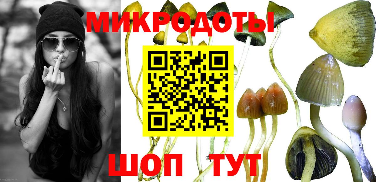 Королёв  Псилоцибиновые грибы GOLDEN TEACHER  купить закладку  Вход с VPN  Галлюциногенные грибы мицелий 